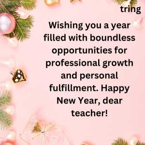 happy new year wishes for teacher (8)