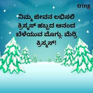 christmas quotes in kannada (1)