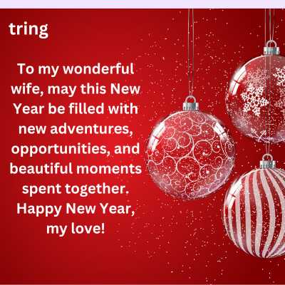 Best Happy New Year Messages For Wife