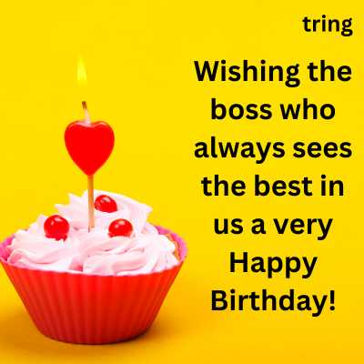 100+ Best Birthday Messages and Wishes For Boss