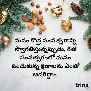 new year wishes in telugu (7)