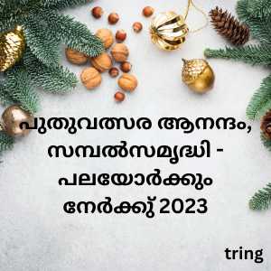 new year wishes in malayalam (9)
