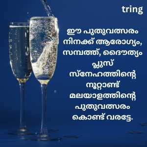 new year wishes in malayalam (2)