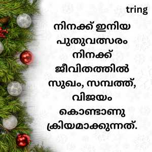 new year wishes in malayalam (4)