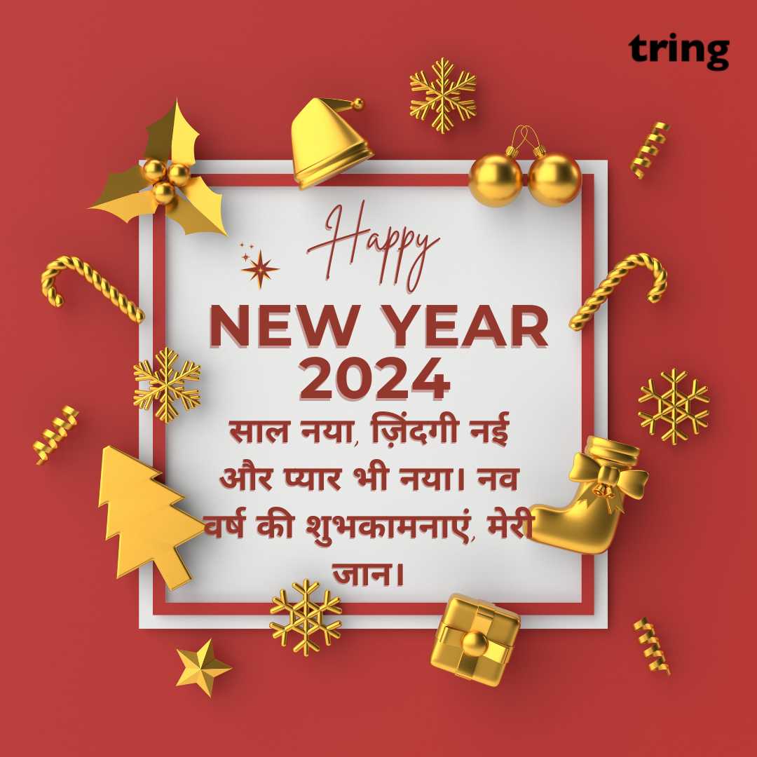 new year wishes images in hindi (3)