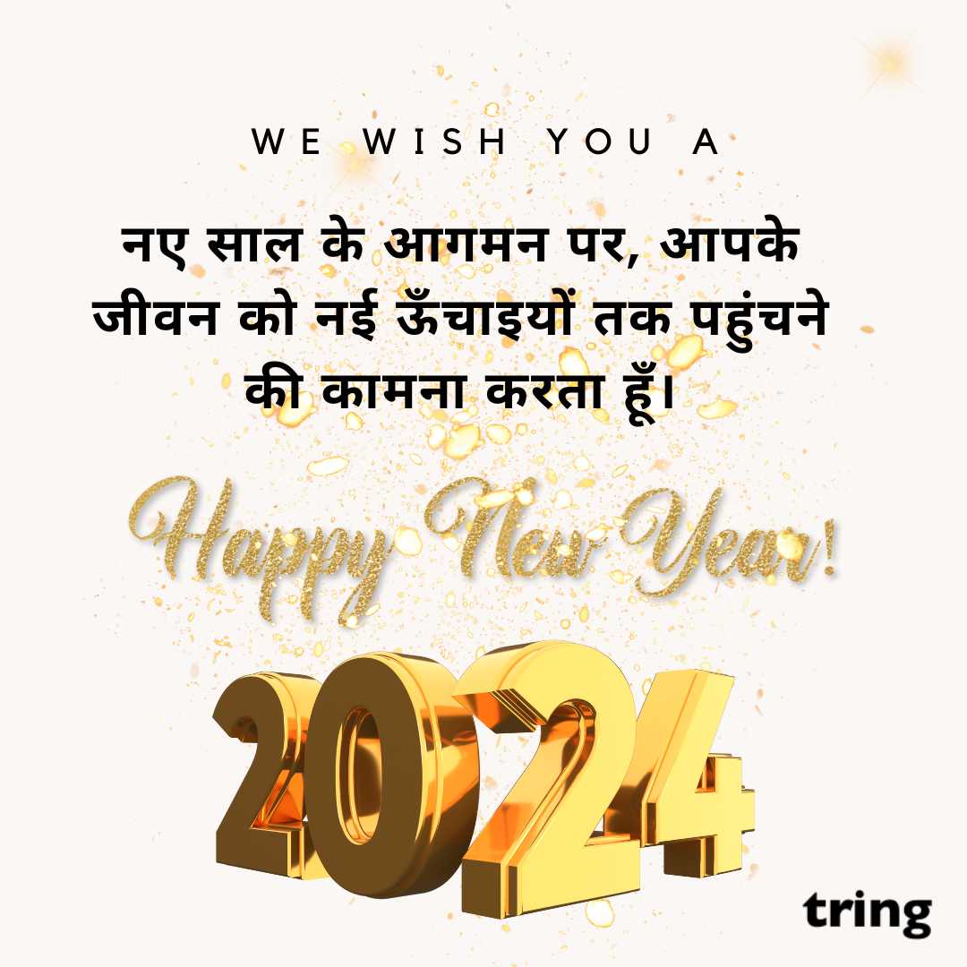 new year wishes images in hindi (49)