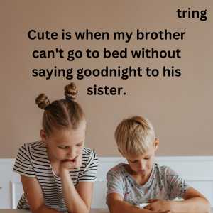 Brother Sister Quotes For Instagram (10)