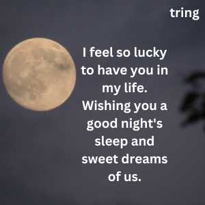 Good Night Wishes For Girlfriend (4)