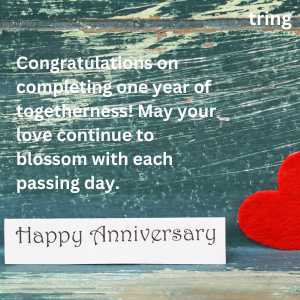 1st Wedding Anniversary Wishes For Sister And Jiju 
