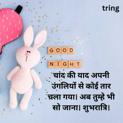 Good Night Wishes For Lover in Hindi 