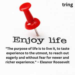 Enjoying Life Quotes (5)