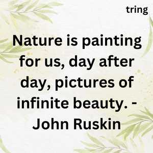 Nature Lover Quotes