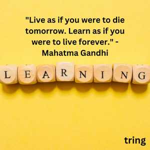 Quotes On Learning (3)