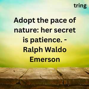 Nature Lover Quotes