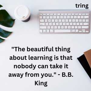 Quotes On Learning (8)