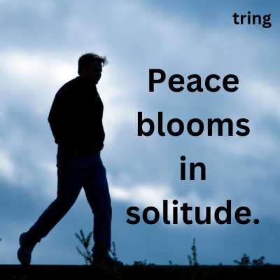 Short Vibing Alone Quotes