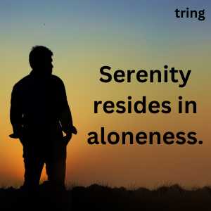 Vibing Alone Quotes (1)