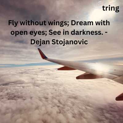 Fly High Quotes For Inspiration 