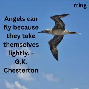 Fly High Quotes (2)