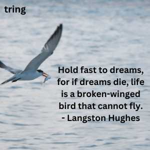 Fly High Quotes (9)