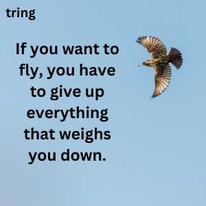 Fly High Quotes (10)