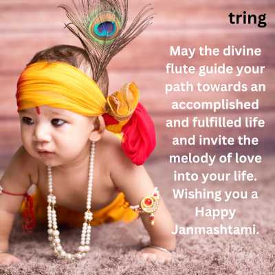 Krishna Janmashtami Wishes 