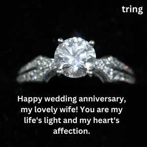 Engagement Anniversary Wishes To Wife (9)