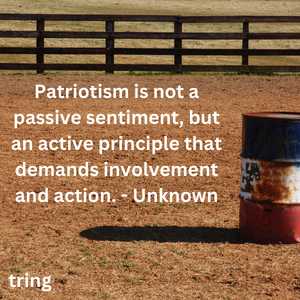 Patriotism Quotes (9)