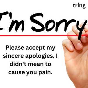 I Am Sorry Quotes (8)