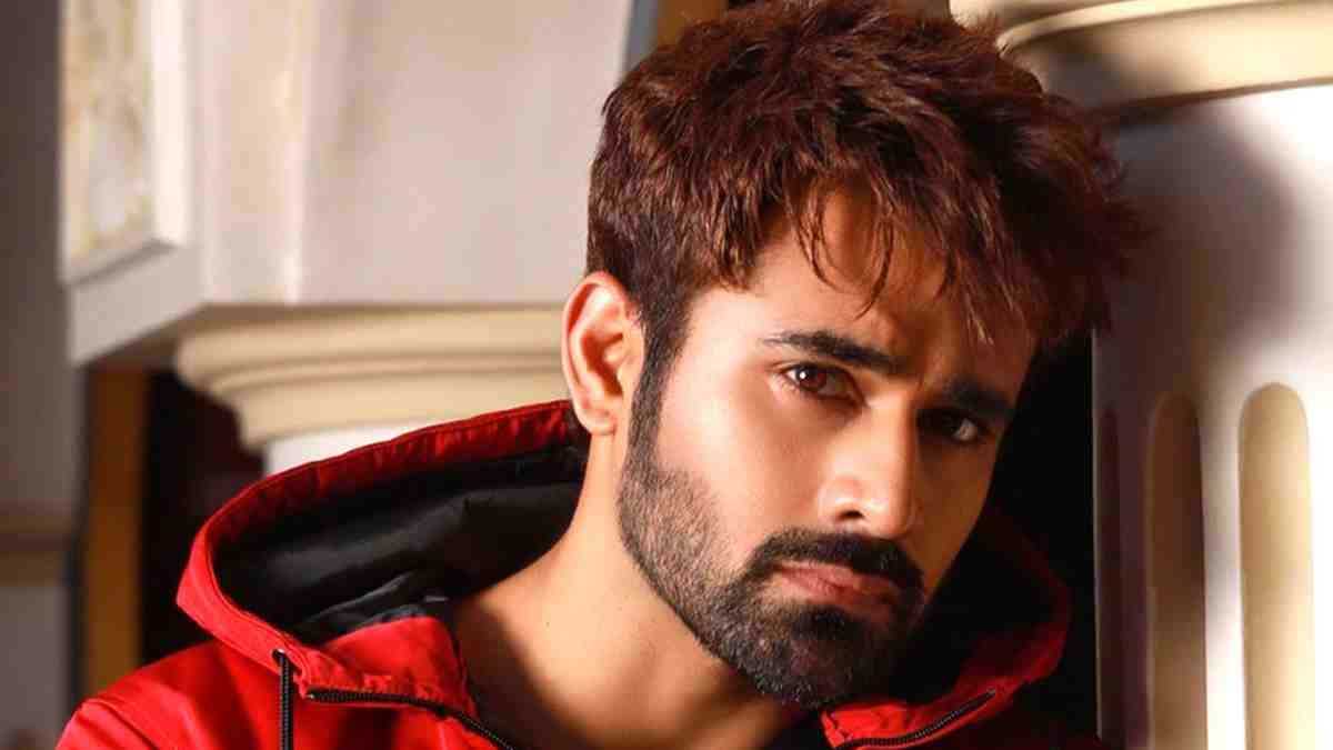 Pearl V Puri Picture