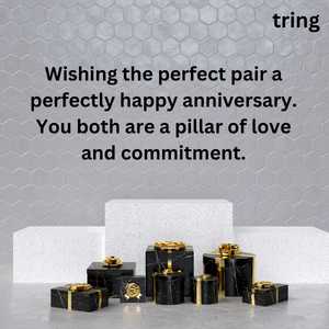 Wishing a perfect pair a perfectly happy anniversary | Greeting Card