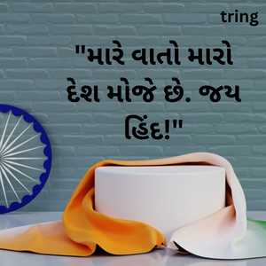 republic day quotes in gujarati (10)