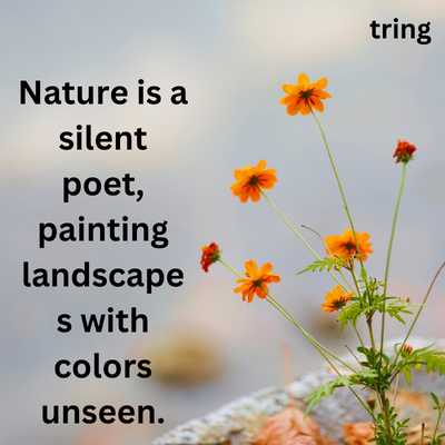 Beauty Of Nature Quotes