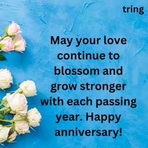 Anniversary Wishes (6)