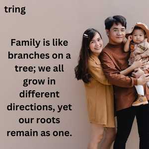 Family Quotes (10)