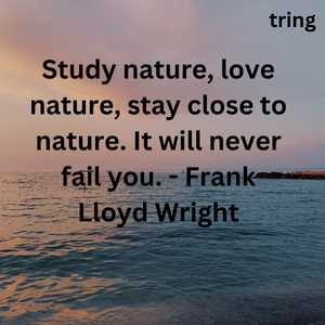 Quotes On Nature (9)