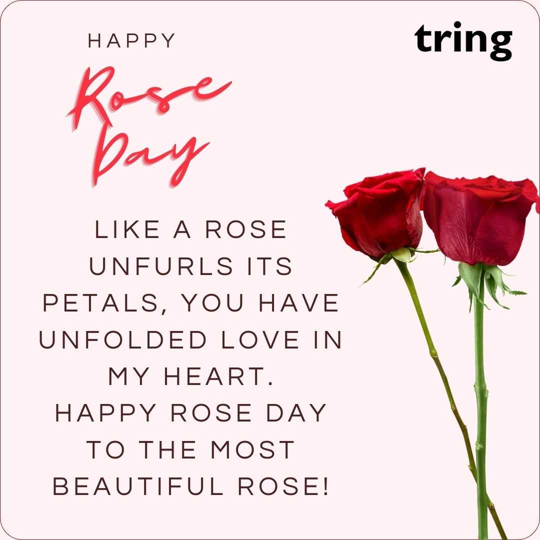 Best Rose Day Wishes for Girlfriend