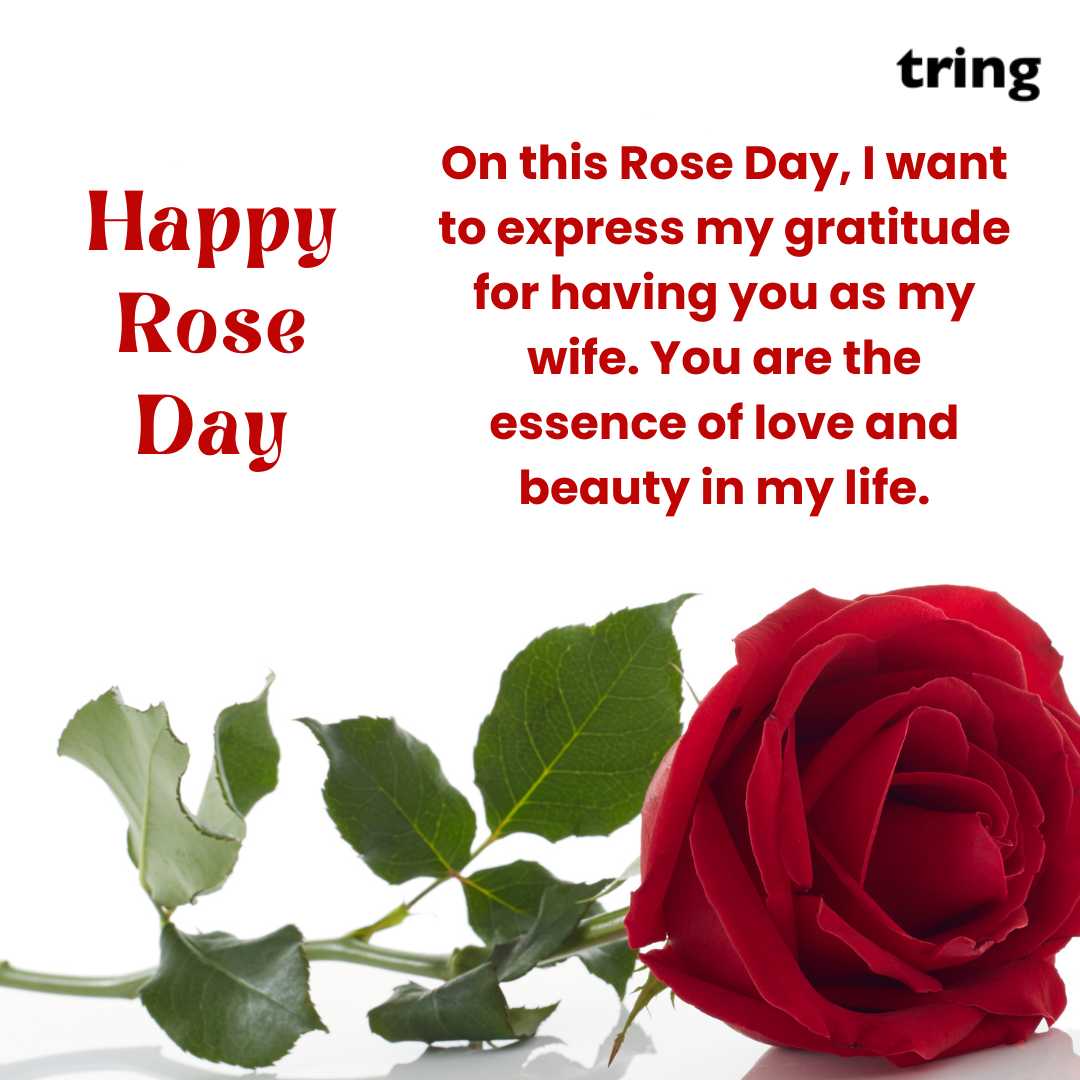 120+ Romantic Rose Day Wishes Images For Loved Ones
