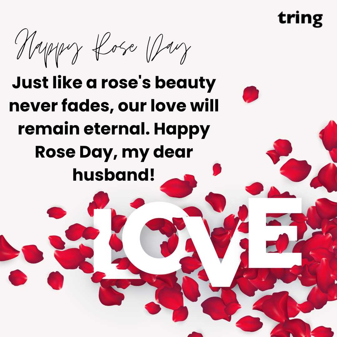 120+ Romantic Rose Day Wishes Images For Loved Ones