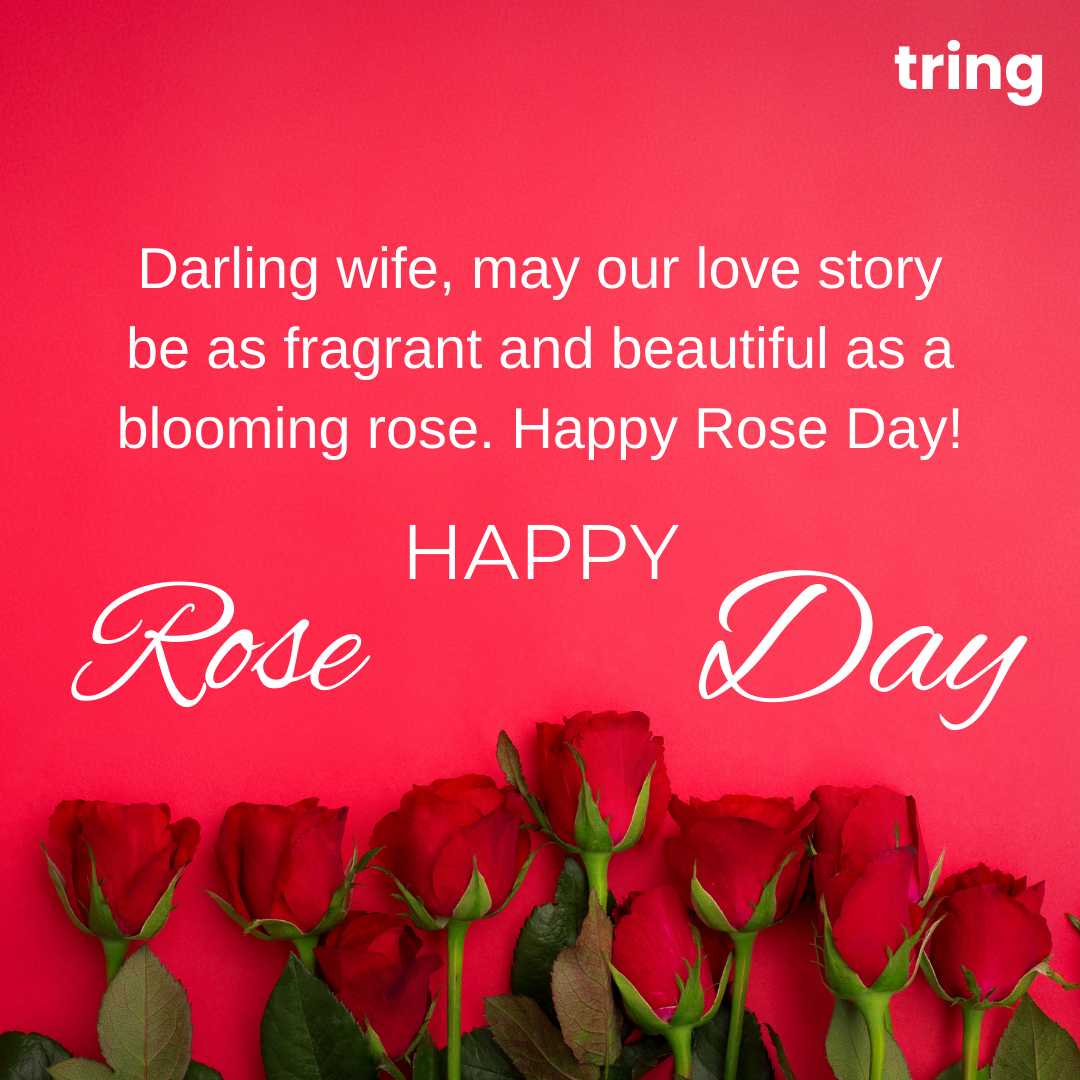 120+ Romantic Rose Day Wishes Images For Loved Ones