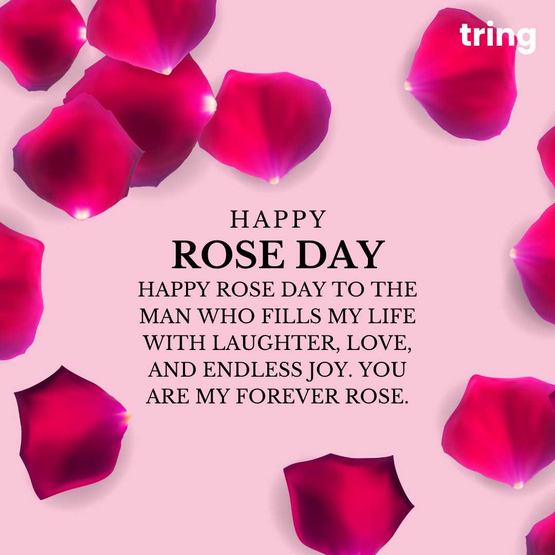 120+ Romantic Rose Day Wishes Images For Loved Ones