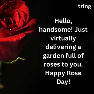 Rose Day Video Wishes For Him