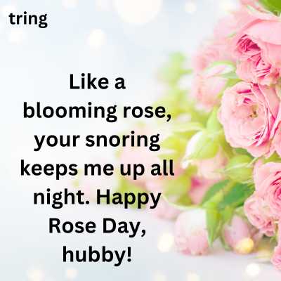 Funny Rose Day Wishes For Husband 