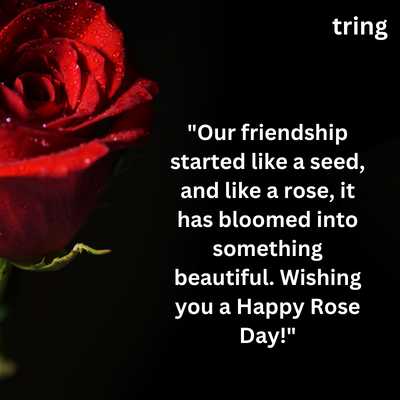 Rose Day Messages for Best Friend