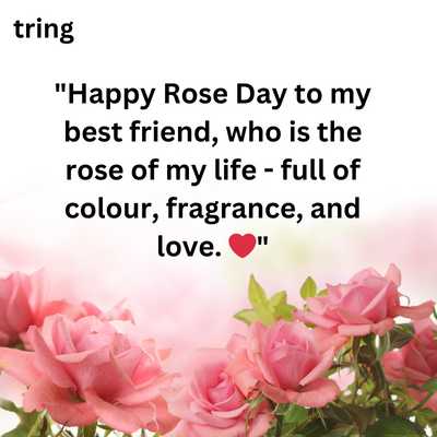 Rose Day Whatsapp Status for Best Friend