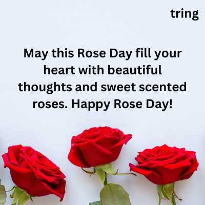 Greeting Card Wishes for Rose Day