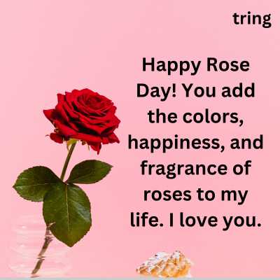 Romantic Happy Rose Day Husband Wishes