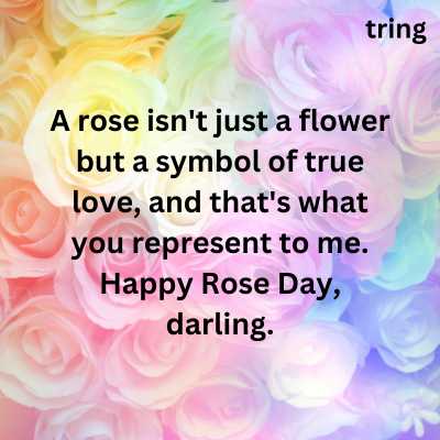 WhatsApp Rose Day  Message For Husband