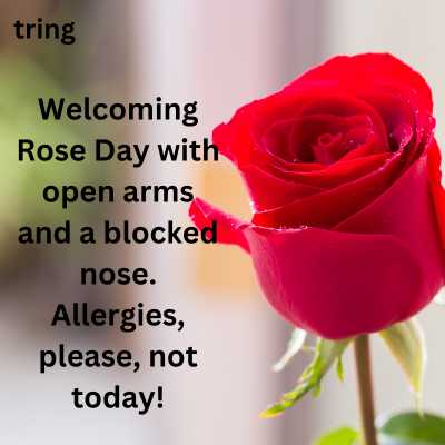 Funny Rose Day Captions