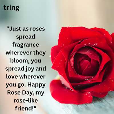 Rose Day Greeting Card Messages for Best Friend